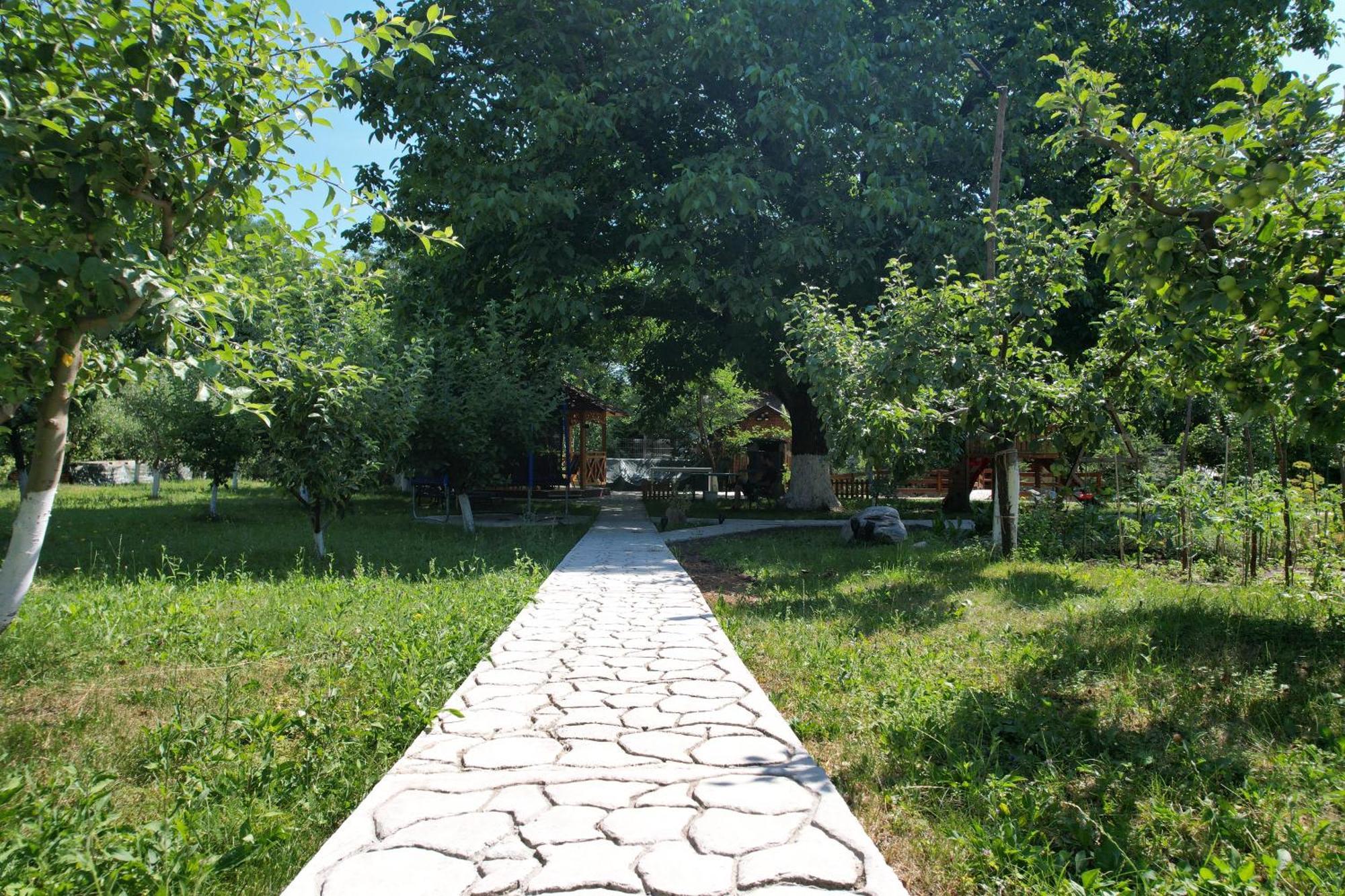 Hotel Casa Stefandra Breaza  Exterior foto